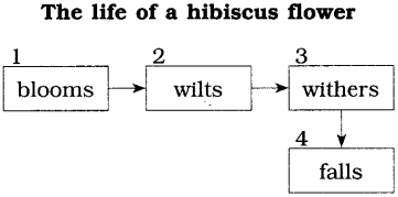 Maharashtra Board Class 10 English Solutions Unit 1.6 The Alchemy of Nature 1