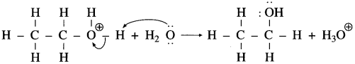 Maharashtra Board Class 12 Chemistry Solutions Chapter 11 Alcohols, Phenols and Ethers 61