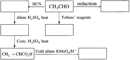 Maharashtra Board Class 12 Chemistry Solutions Chapter 12 Aldehydes, Ketones and Carboxylic Acids 323
