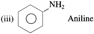 Maharashtra Board Class 12 Chemistry Solutions Chapter 13 Amines 2