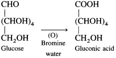 Maharashtra Board Class 12 Chemistry Solutions Chapter 14 Biomolecules 16