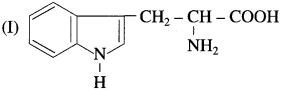 Maharashtra Board Class 12 Chemistry Solutions Chapter 14 Biomolecules 57