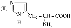 Maharashtra Board Class 12 Chemistry Solutions Chapter 14 Biomolecules 58
