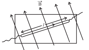 Maharashtra Board Class 12 Physics Solutions Chapter 10 Magnetic Fields due to Electric Current 4