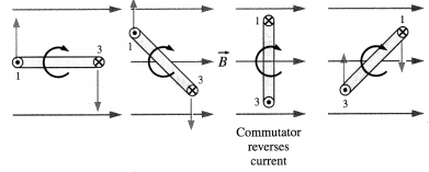 Maharashtra Board Class 12 Physics Solutions Chapter 10 Magnetic Fields due to Electric Current 11