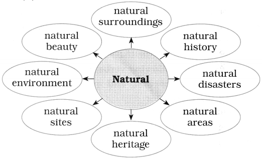 https://maharashtraboardsolutions.guru/wp-content/uploads/2020/10/Maharashtra-Board-Class-10-English-Solutions-Unit-4.3-World-Heritage-7.png