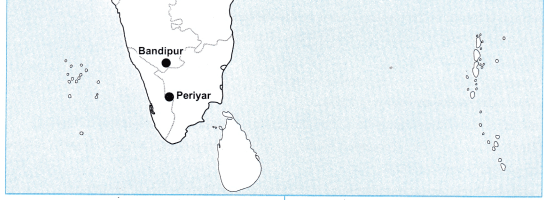 Maharashtra Board Class 10 Geography Solutions Chapter 5 Natural Vegetation and Wildlife 15