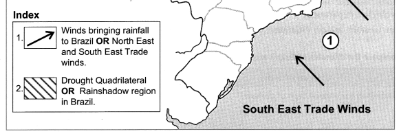 Maharashtra Board Class 10 Geography Solutions Chapter 4 Climate 19