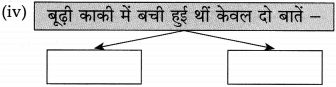 Maharashtra Board Class 10 Hindi Solutions Chapter 10 बूढ़ी काकी 4