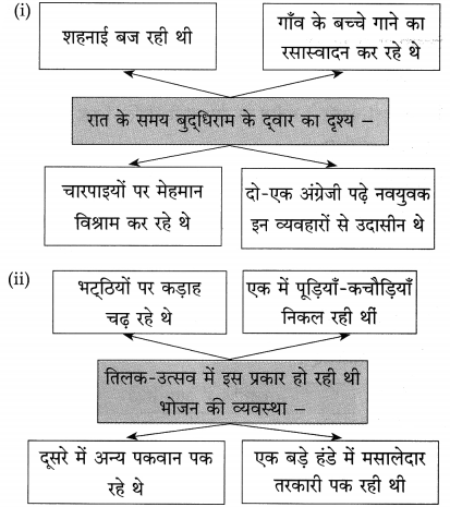 Maharashtra Board Class 10 Hindi Solutions Chapter 10 बूढ़ी काकी 11