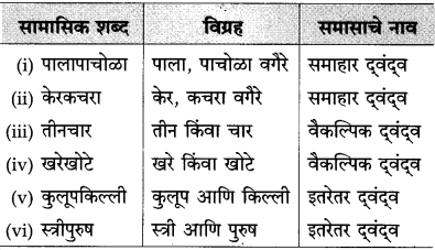Maharashtra Board Class 10 Marathi Solutions Chapter 17 सोनाली 43