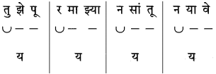 Maharashtra Board Class 10 Marathi Solutions Chapter 17 सोनाली 44