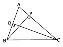 Maharashtra Board Class 10 Maths Solutions Chapter 1 Similarity Practice Set 1.3 10