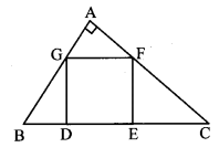 Maharashtra Board Class 10 Maths Solutions Chapter 1 Similarity Problem Set 1 25