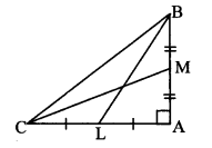 Maharashtra Board Class 10 Maths Solutions Chapter 2 Pythagoras Theorem Problem Set 2 10