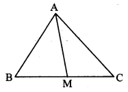 Maharashtra Board Class 10 Maths Solutions Chapter 2 Pythagoras Theorem Problem Set 2 16