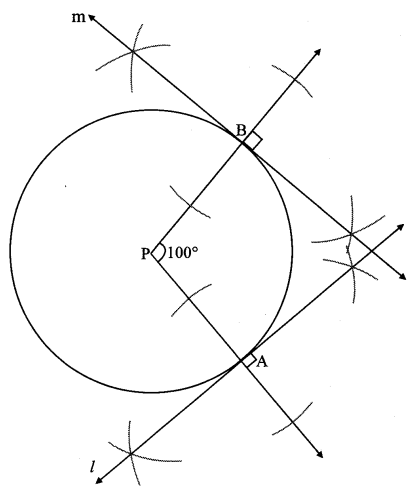 Maharashtra Board Class 10 Maths Solutions Chapter 4 Geometric Constructions Problem Set 4 8