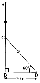 Maharashtra Board Class 10 Maths Solutions Chapter 6 Trigonometry Practice Set 6.2 6