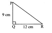 Maharashtra Board Class 10 Maths Solutions Chapter 2 Pythagoras Theorem Problem Set 2