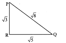 Maharashtra Board Class 10 Maths Solutions Chapter 2 Pythagoras Theorem Problem Set 2