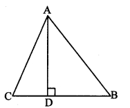 Maharashtra Board Class 10 Maths Solutions Chapter 2 Pythagoras Theorem Problem Set 2