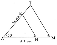 Maharashtra Board Class 10 Maths Solutions Chapter 4 Geometric Constructions Practice Set 4.1