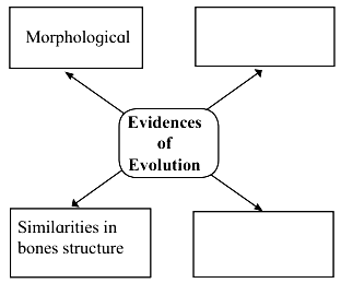 Maharashtra Board Class 10 Science Solutions Part 2 Chapter 1 Heredity and Evolution 1