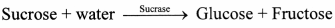 Maharashtra Board Class 11 Biology Solutions Chapter 6 Biomolecules 5