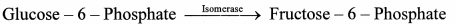 Maharashtra Board Class 11 Biology Solutions Chapter 6 Biomolecules 7