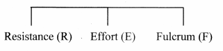 Maharashtra Board Class 11 Biology Solutions Chapter 16 Skeleton and Movement 23