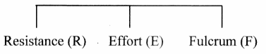 Maharashtra Board Class 11 Biology Solutions Chapter 16 Skeleton and Movement 27