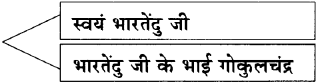 Maharashtra Board Class 11 Hindi Yuvakbharati Solutions Chapter 11 भारती का सपूत 9