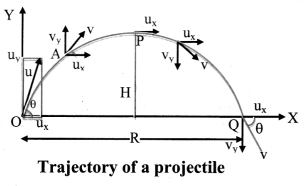 Maharashtra Board Class 11 Physics Solutions Chapter 3 Motion in a Plane 8