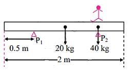 Maharashtra Board Class 11 Physics Solutions Chapter 4 Laws of Motion 100