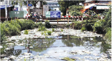 Maharashtra Board Class 9 Geography Solutions Chapter 10 Urbanisation Human 4