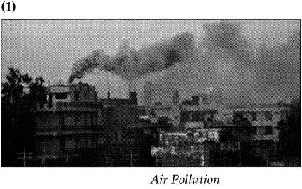 Maharashtra Board Class 9 Geography Solutions Chapter 10 Urbanisation Human 6