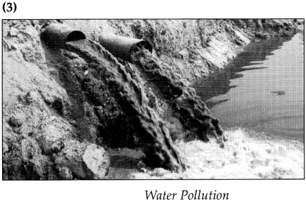 Maharashtra Board Class 9 Geography Solutions Chapter 10 Urbanisation Human 8