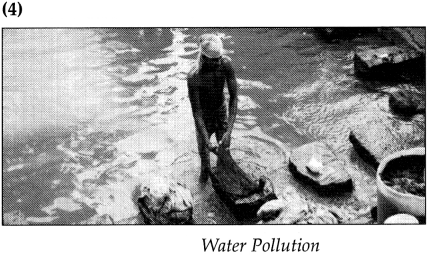 Maharashtra Board Class 9 Geography Solutions Chapter 10 Urbanisation Human 9