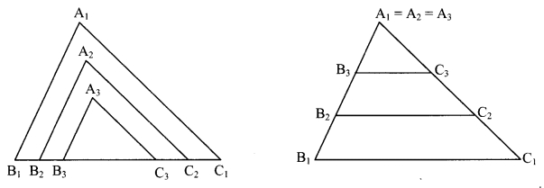 Maharashtra Board Class 9 Maths Solutions Chapter 3 Triangles Problem Set 3 22