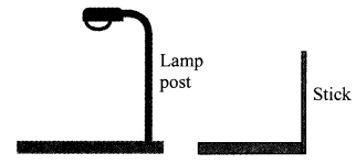 Maharashtra Board Class 9 Maths Solutions Chapter 8 Trigonometry Problem Set 8 13