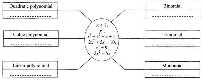 Maharashtra Board Class 9 Maths Solutions Chapter 3 Polynomials Practice Set 3.1 1