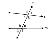 Maharashtra Board Class 9 Maths Solutions Chapter 2 Parallel Lines Practice Set 2.1 8