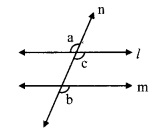 Maharashtra Board Class 9 Maths Solutions Chapter 2 Parallel Lines Practice Set 2.2 3