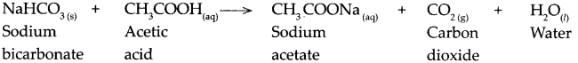 Maharashtra Board Class 9 Science Solutions Chapter 5 Acids, Bases and Salts 21