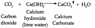 Maharashtra Board Class 9 Science Solutions Chapter 5 Acids, Bases and Salts 38