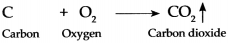 Maharashtra Board Class 9 Science Solutions Chapter 13 Carbon An Important Element 6