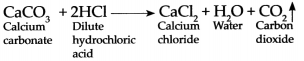 Maharashtra Board Class 9 Science Solutions Chapter 16 Heredity and Variation 4