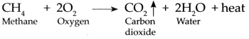 Maharashtra Board Class 9 Science Solutions Chapter 13 Carbon An Important Element 14