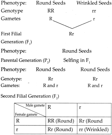 Maharashtra Board Class 9 Science Solutions Chapter 16 Heredity and Variation 9