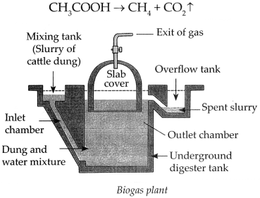 Maharashtra Board Class 9 Science Solutions Chapter 13 Carbon An Important Element 19